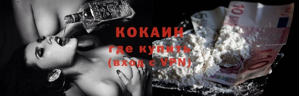 прущие грибы Абаза