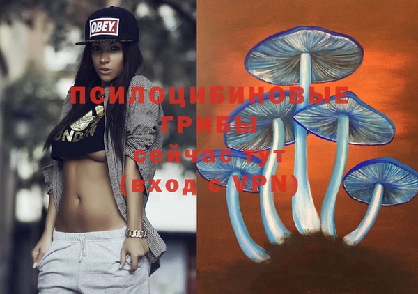 мескалин Абинск