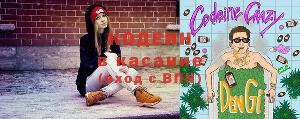 прущие грибы Абаза