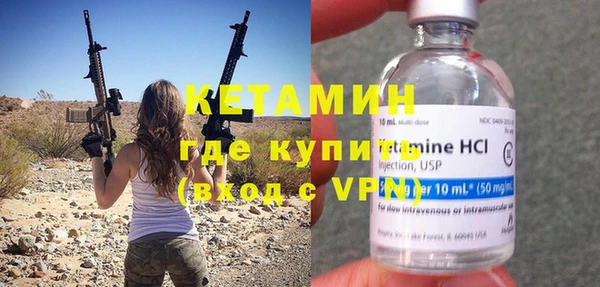 прущие грибы Абаза