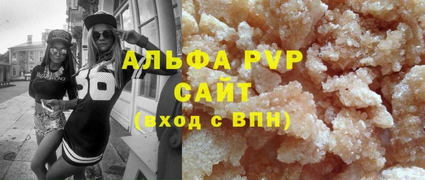 прущие грибы Абаза
