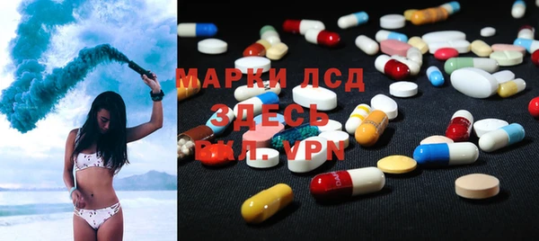 прущие грибы Абаза