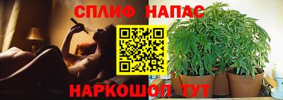 ПСИЛОЦИБИНОВЫЕ ГРИБЫ Краснокаменск