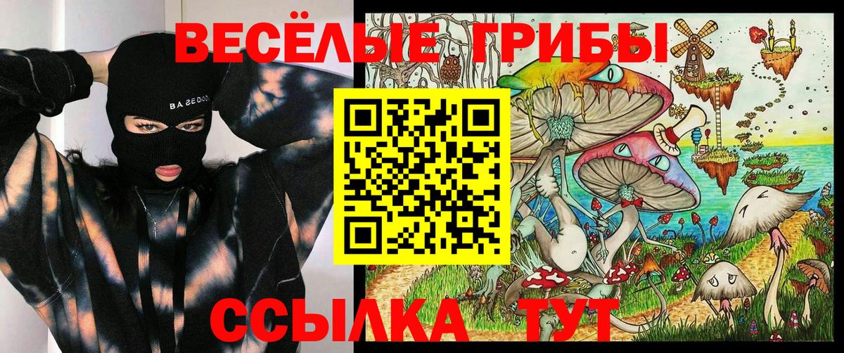 Тавда  Галлюциногенные грибы Magic Shrooms  Вход с VPN 